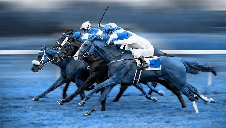 cheltenham 2020 0034
