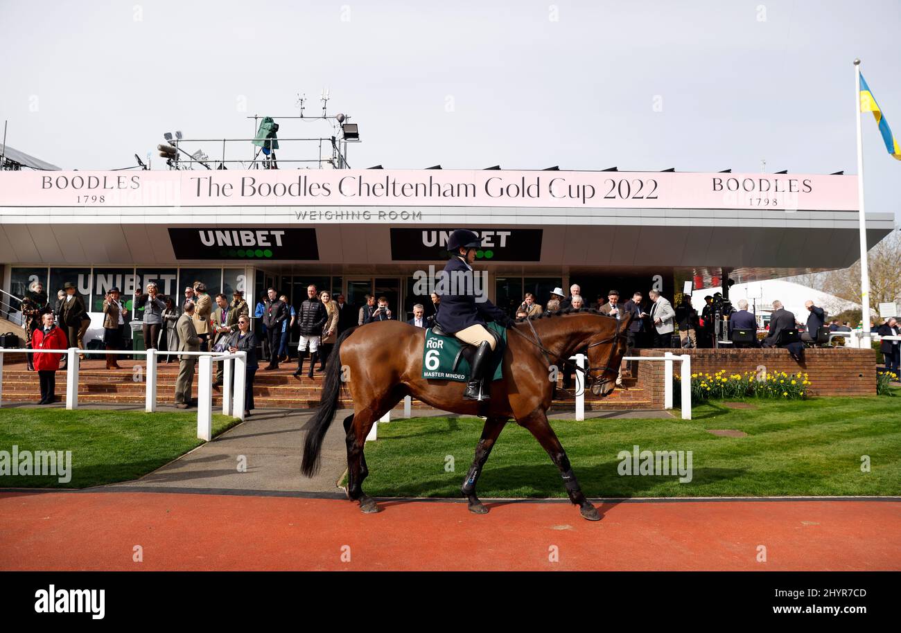 cheltenham 2020 0037