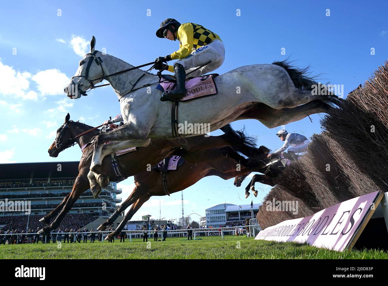 cheltenham 2020 0041