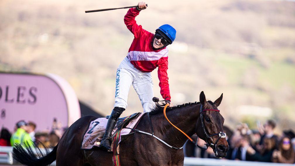 cheltenham 2020 0042