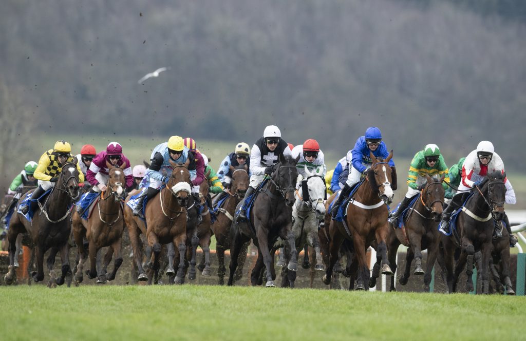 cheltenham 2020 0047