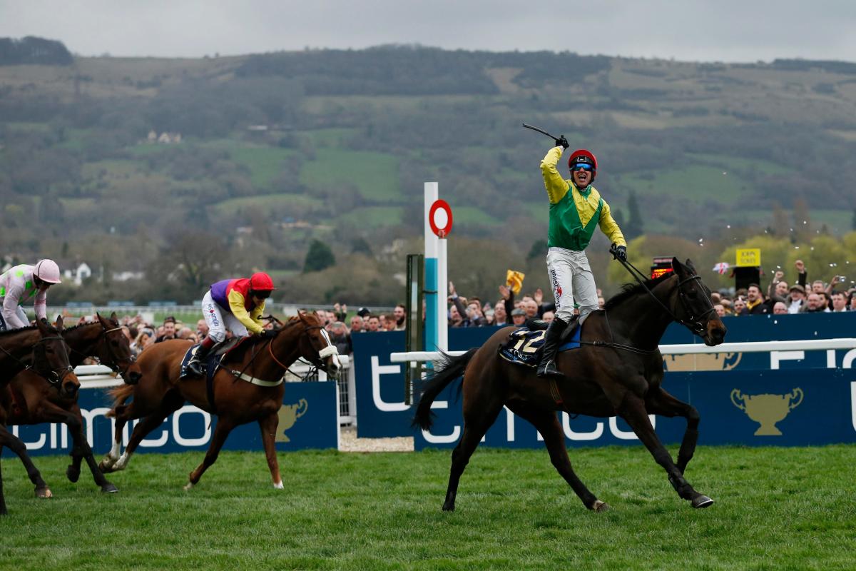 cheltenham 2020