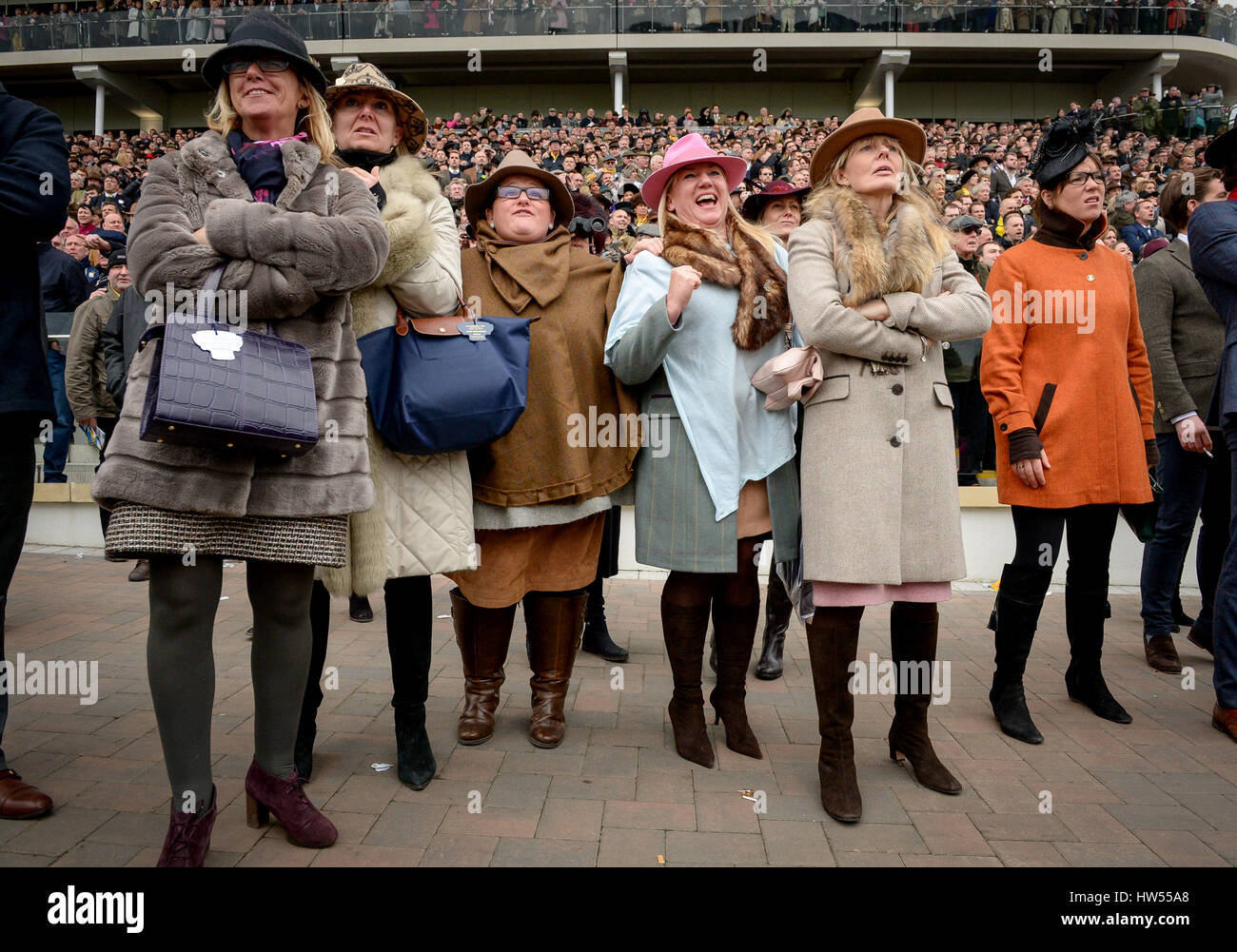 cheltenham 2020