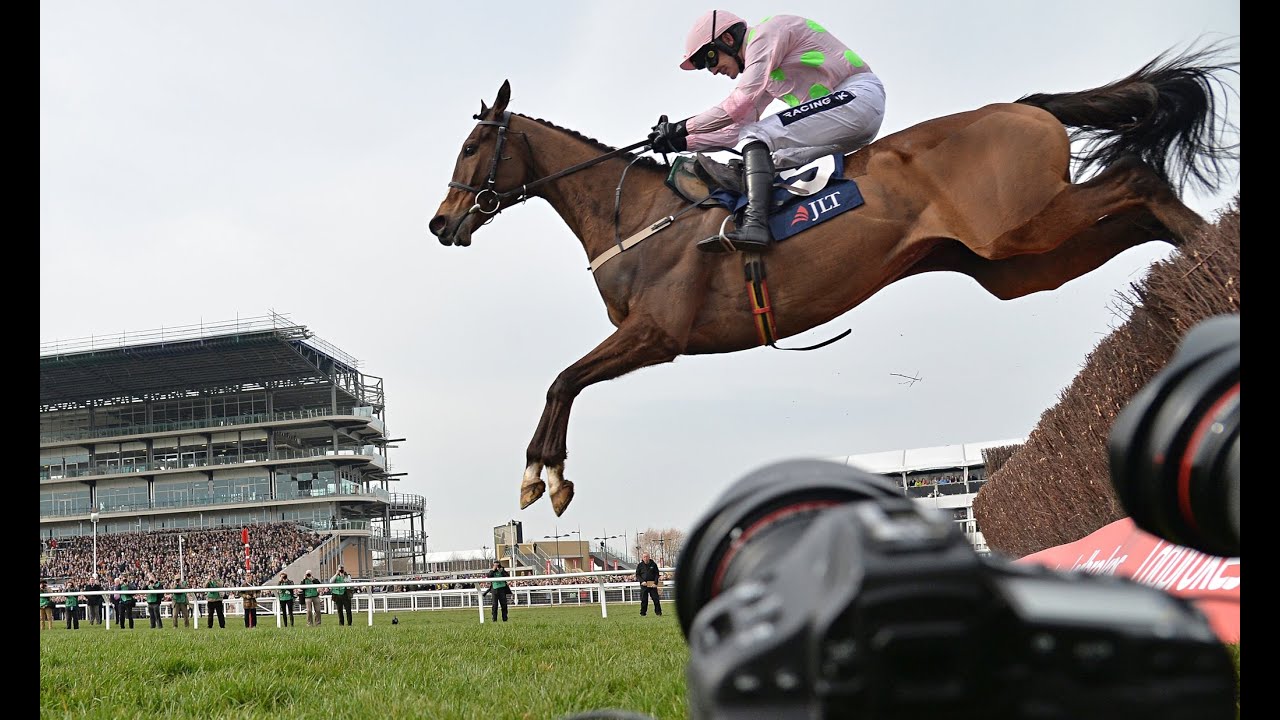 cheltenham 2020