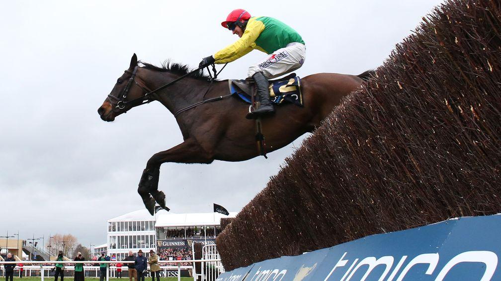 cheltenham 2020