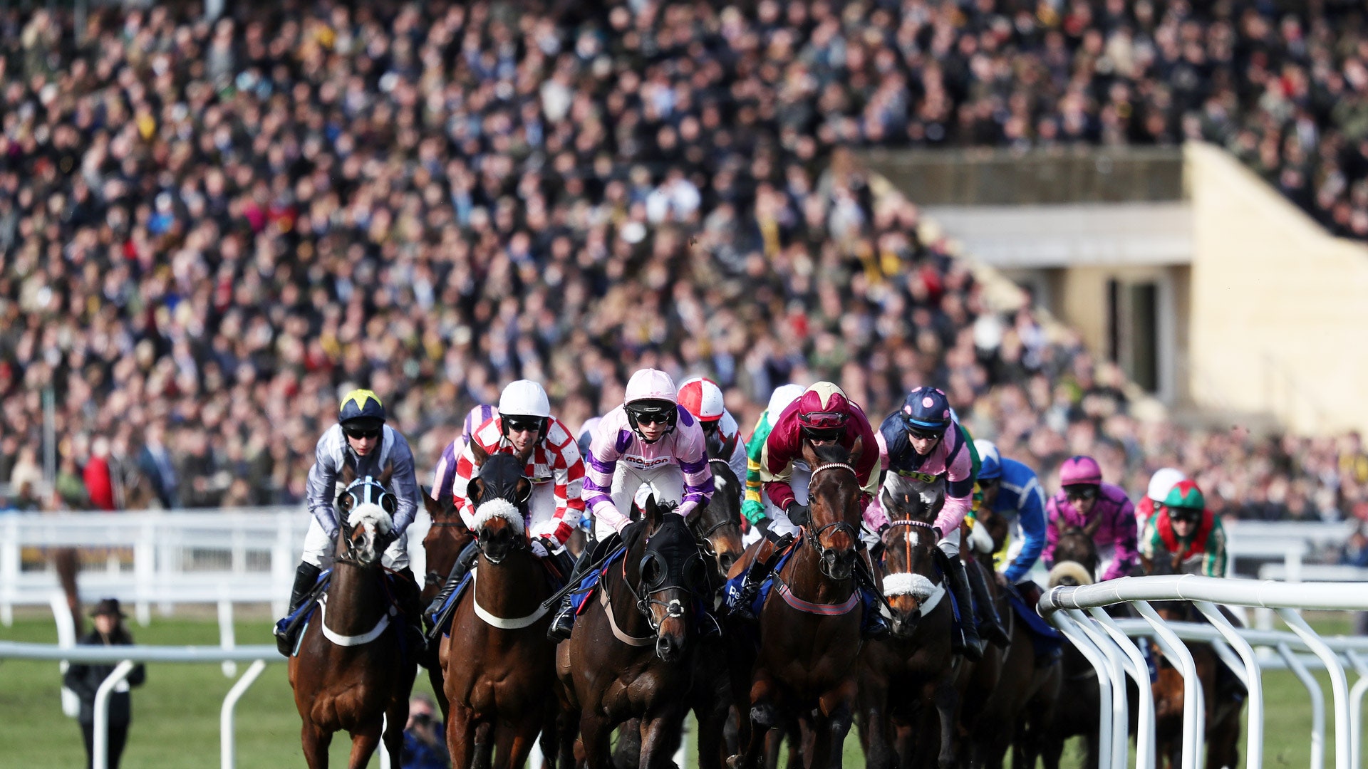 Cheltenham jockeys