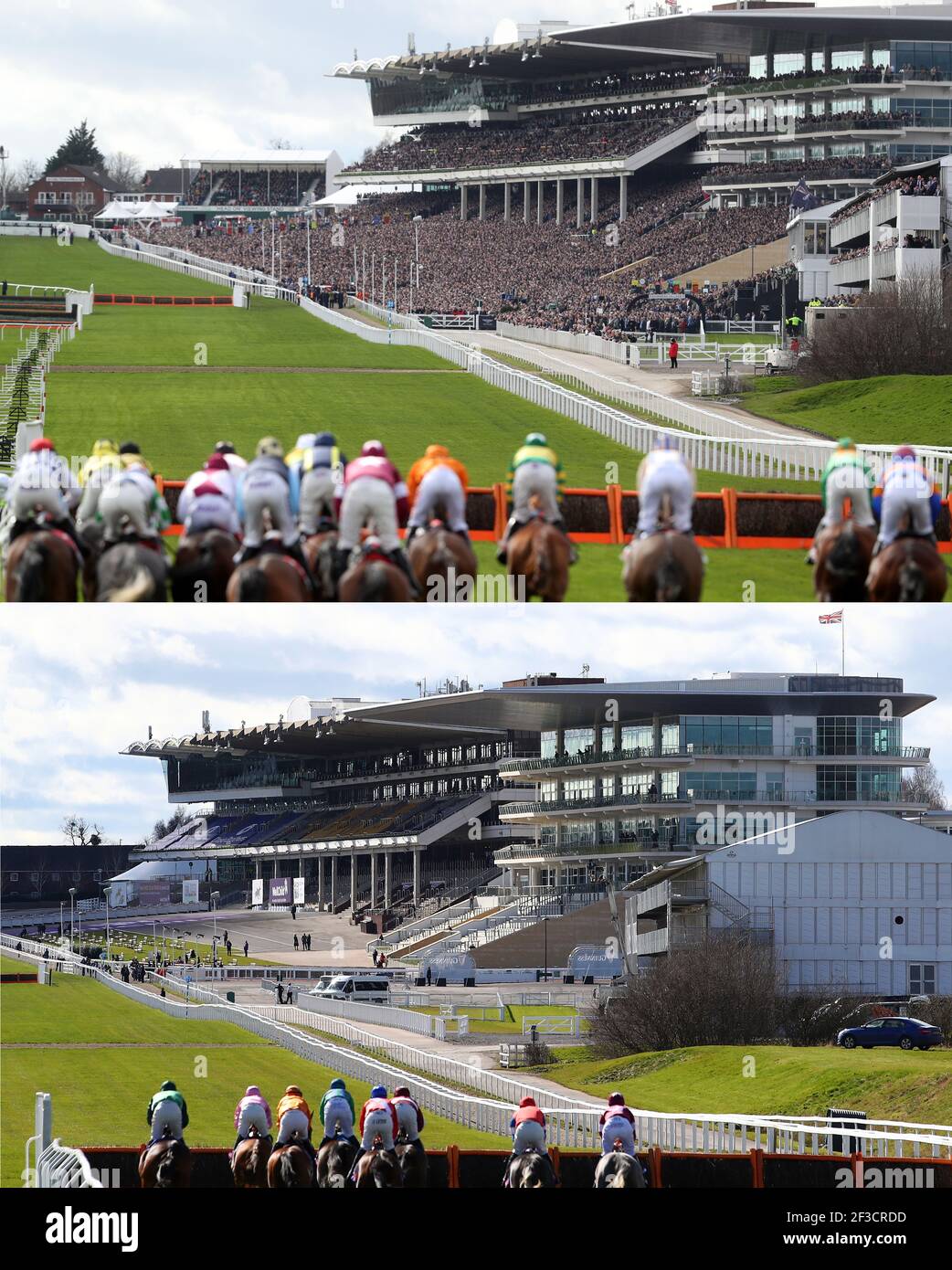 cheltenham 2020
