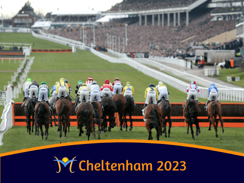 cheltenham 2020