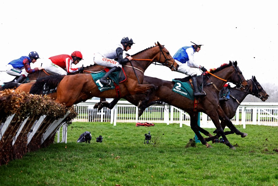 Cheltenham race schedule