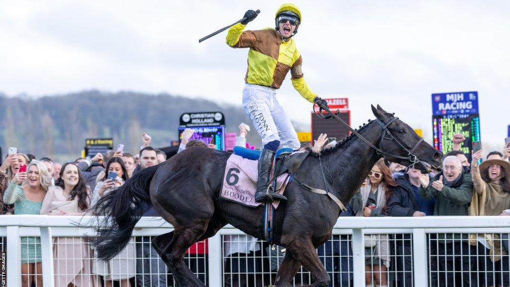 cheltenham 2020