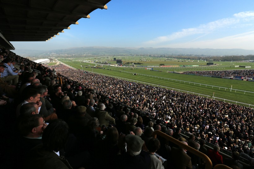 Cheltenham results
