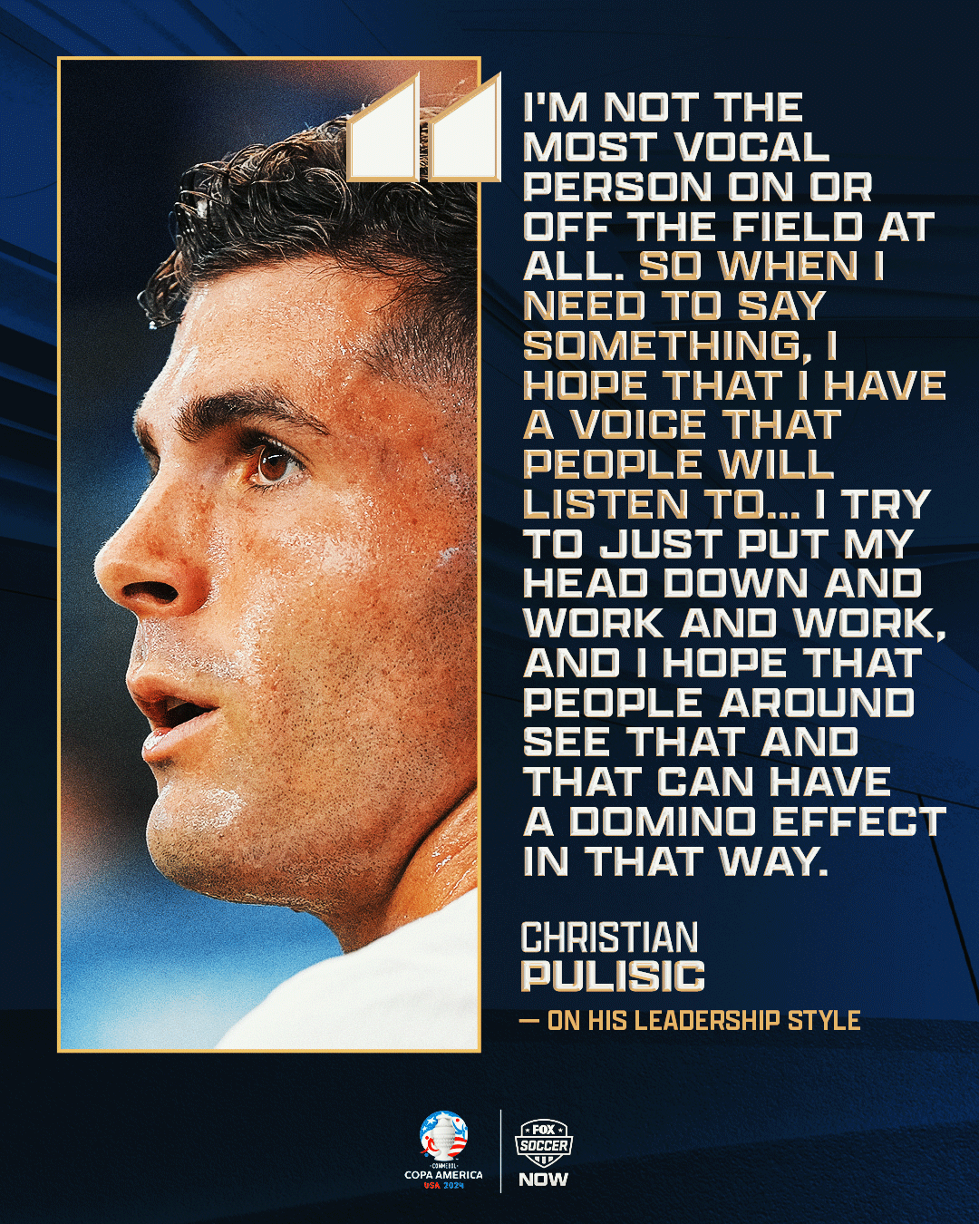 christian pulisic poster 0071