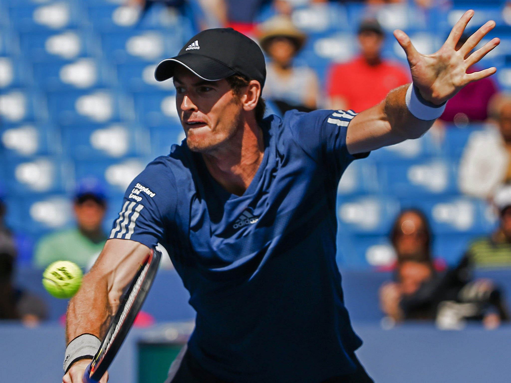 Cincinnati Open fan experience