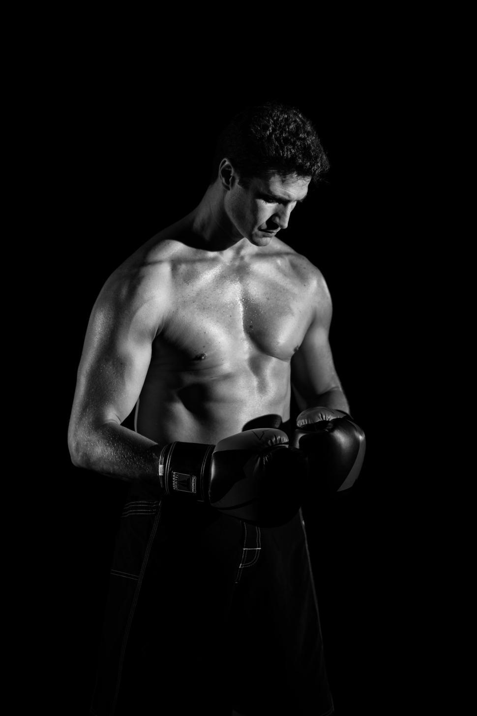 classic boxing art