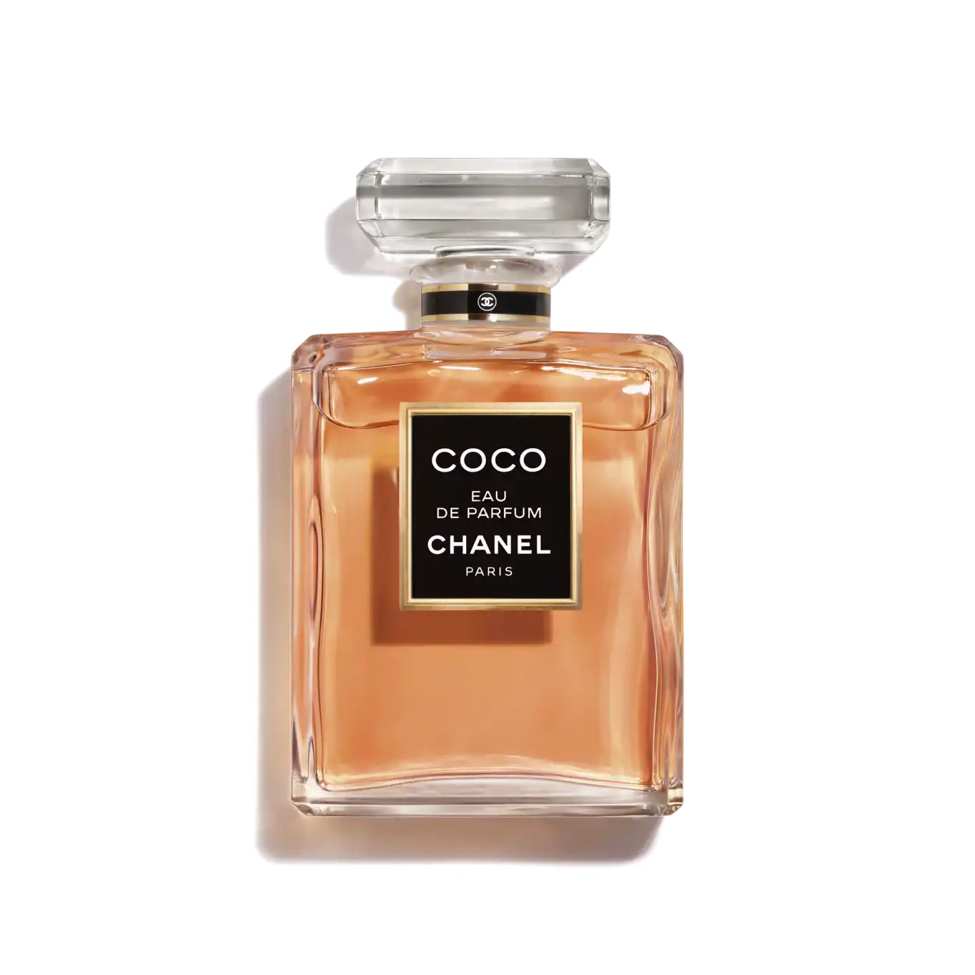 coco photos 0034