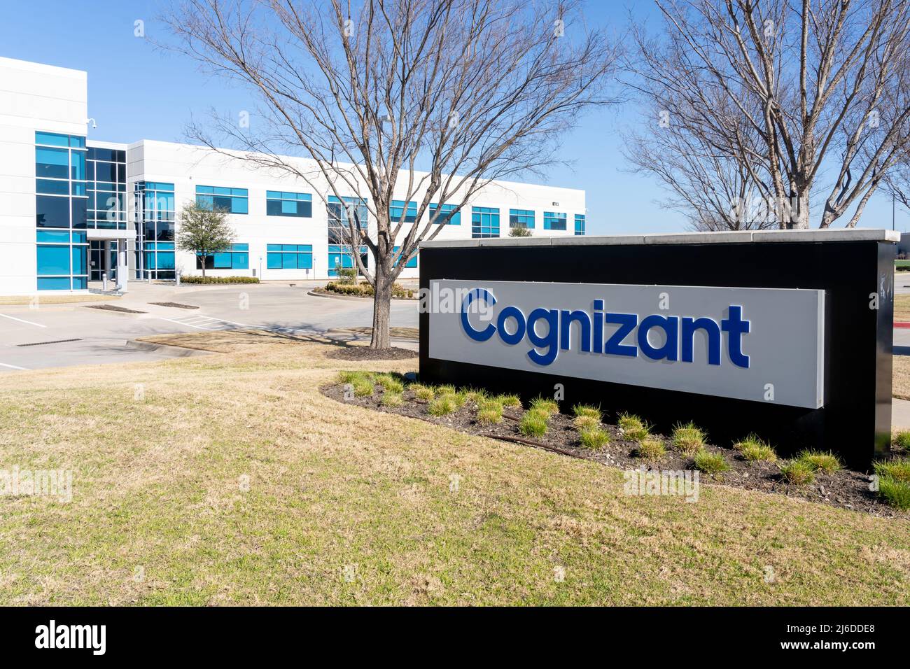 cognizant images 0014
