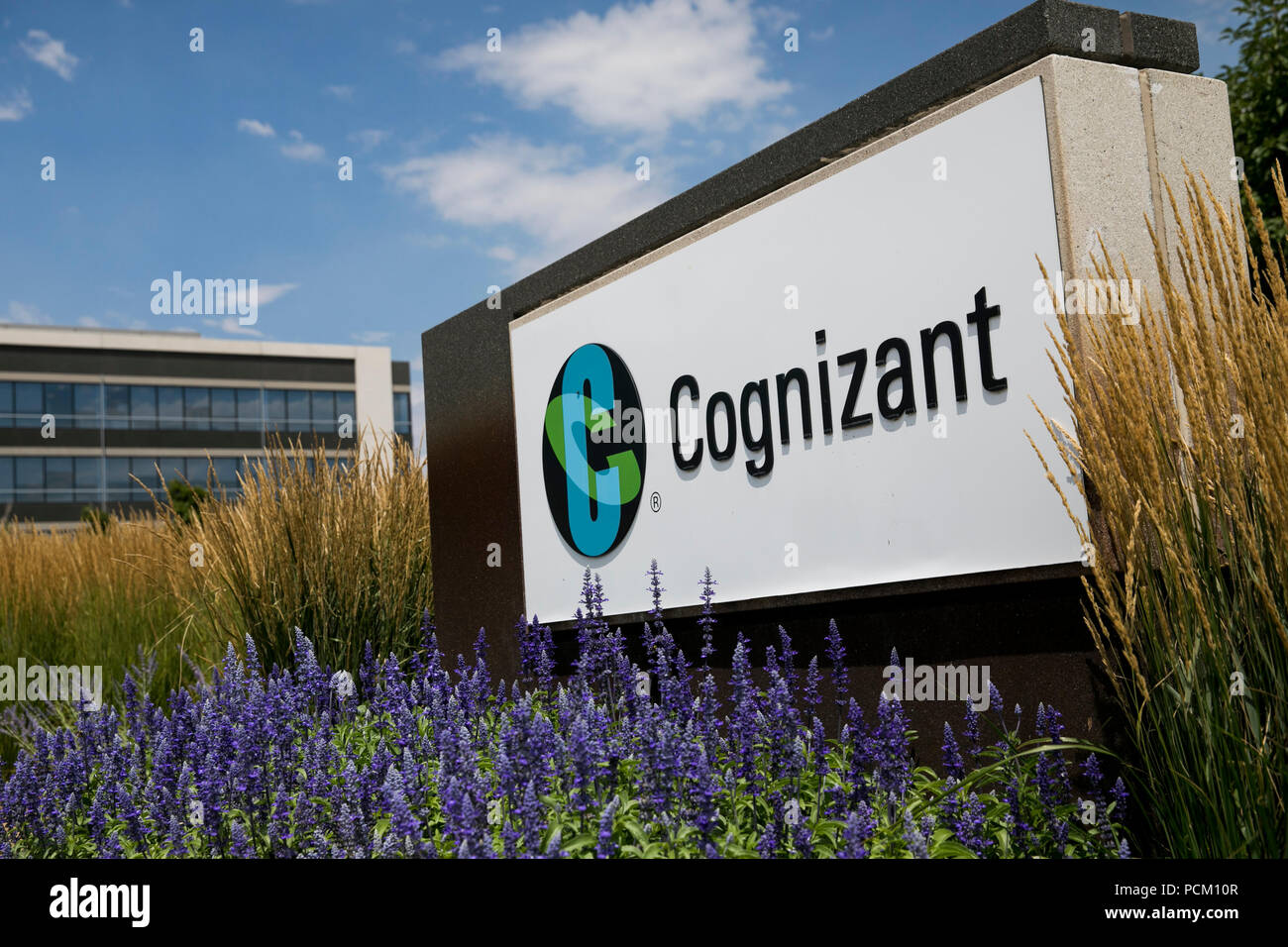 cognizant images 0024