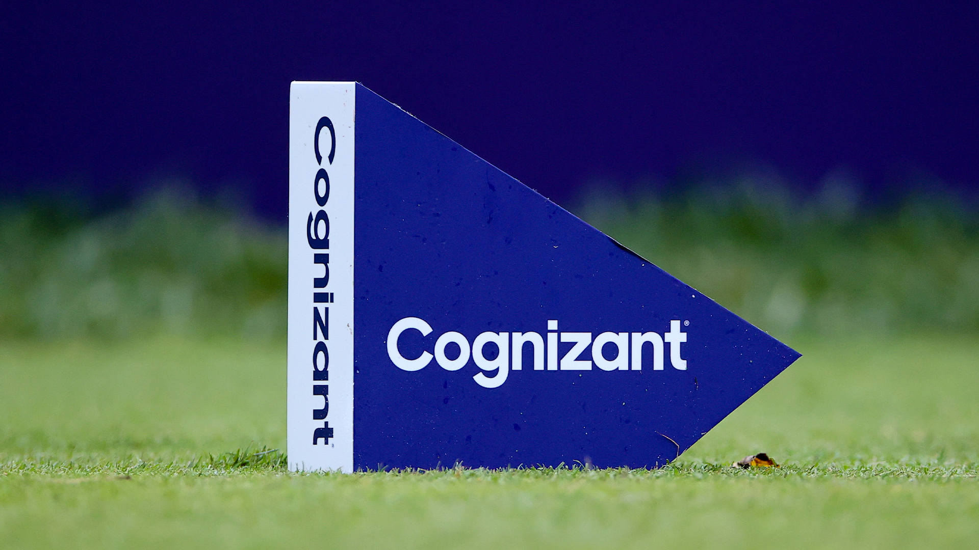 cognizant images 0029