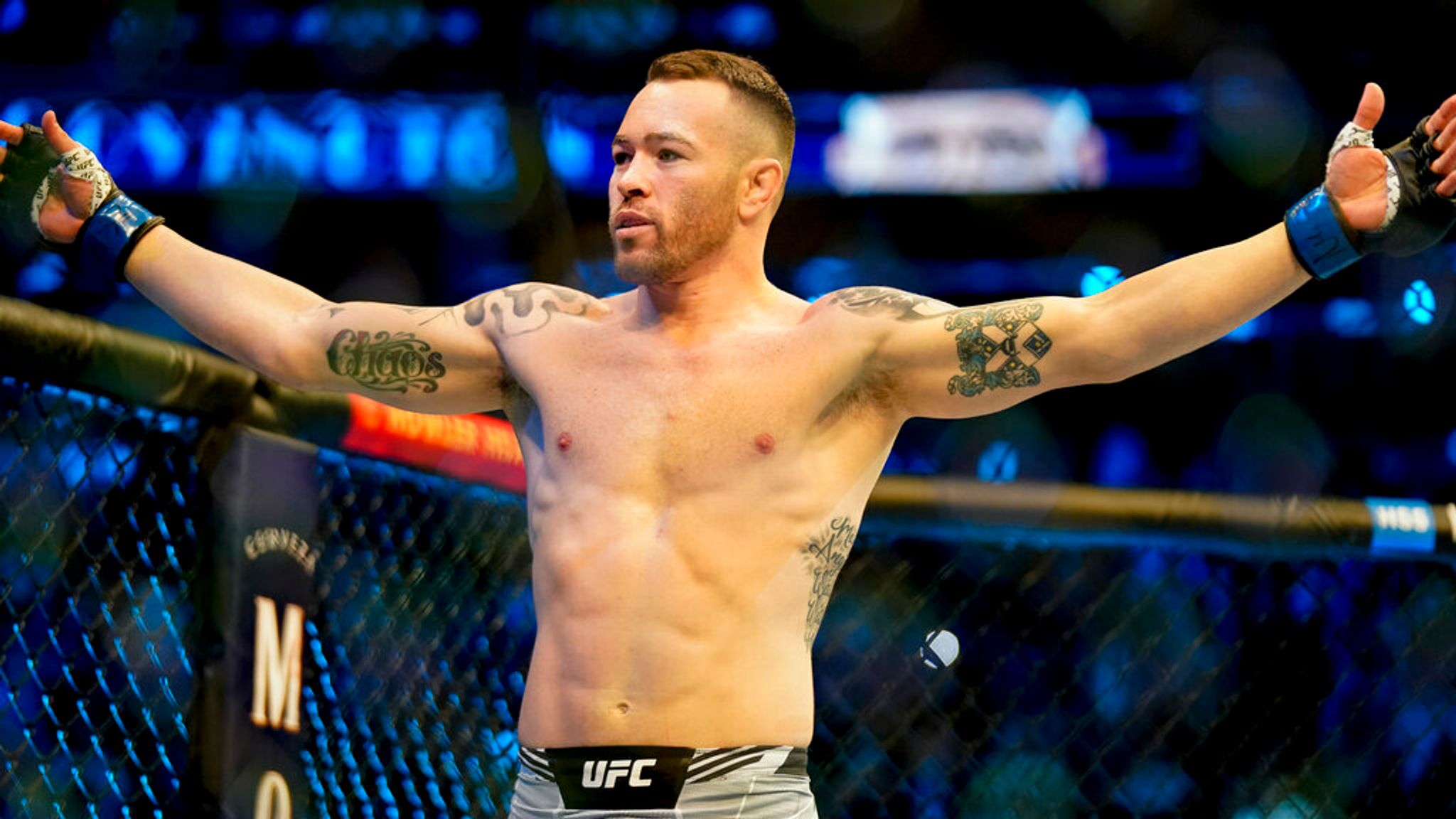 colby covington wallpaper 0011