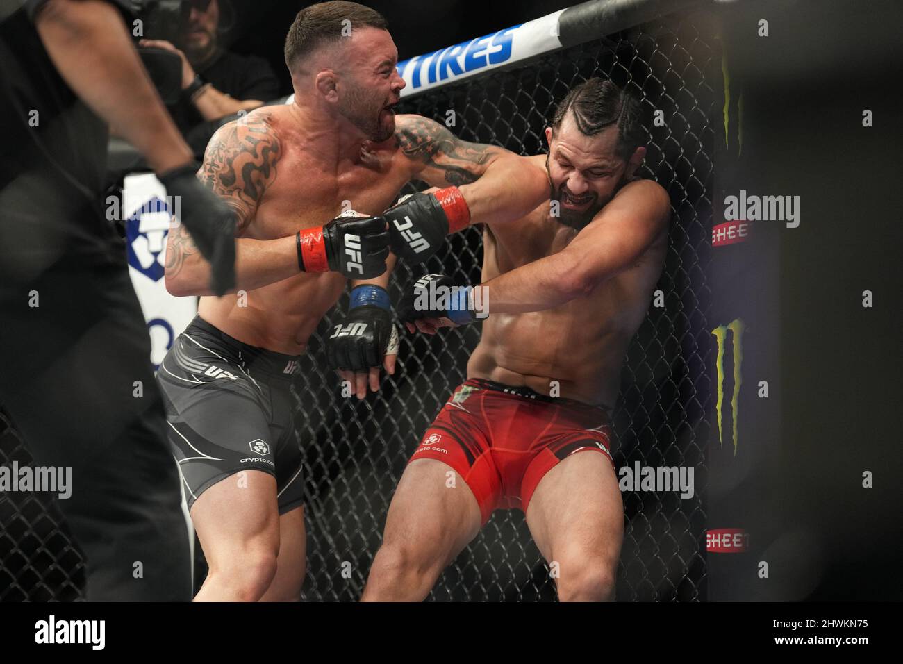 colby covington wallpaper 0020