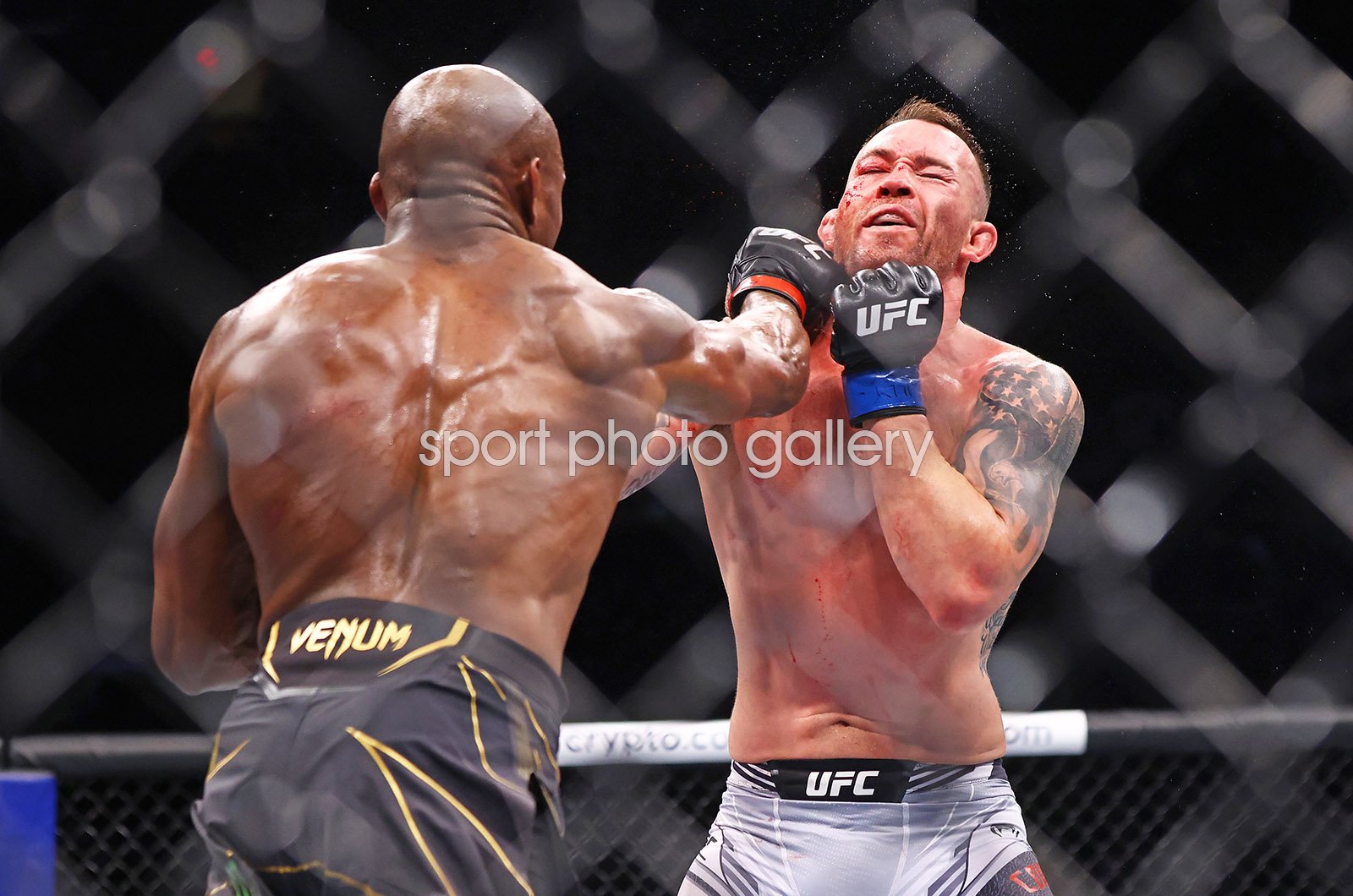 colby covington wallpaper 0035