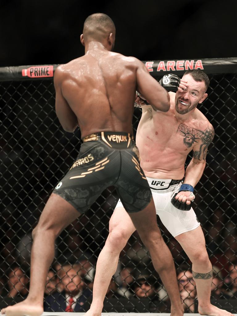 colby covington wallpaper 0042