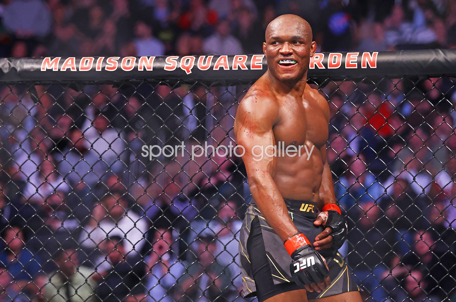 colby covington wallpaper 0043