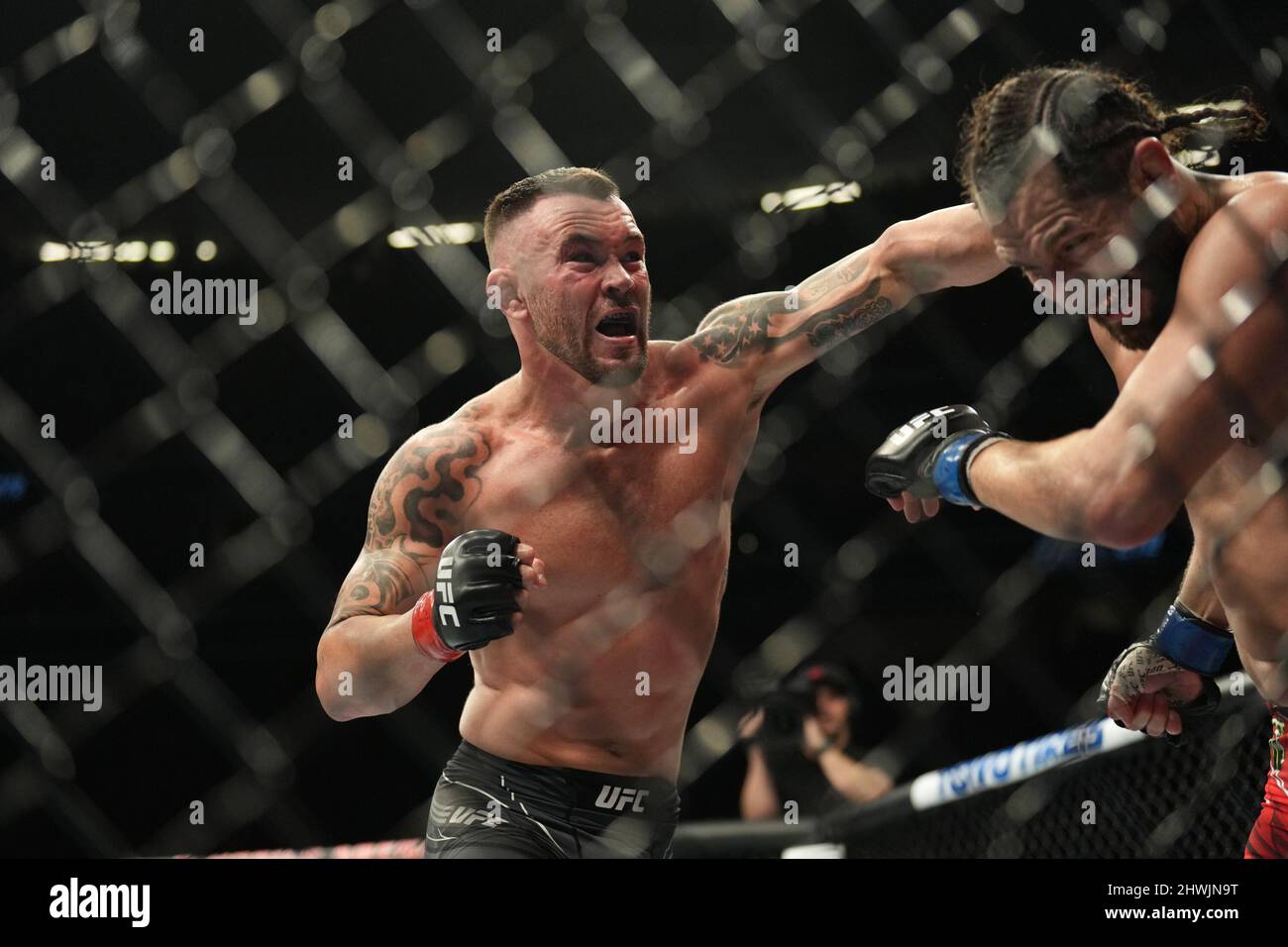 colby covington wallpaper 0044
