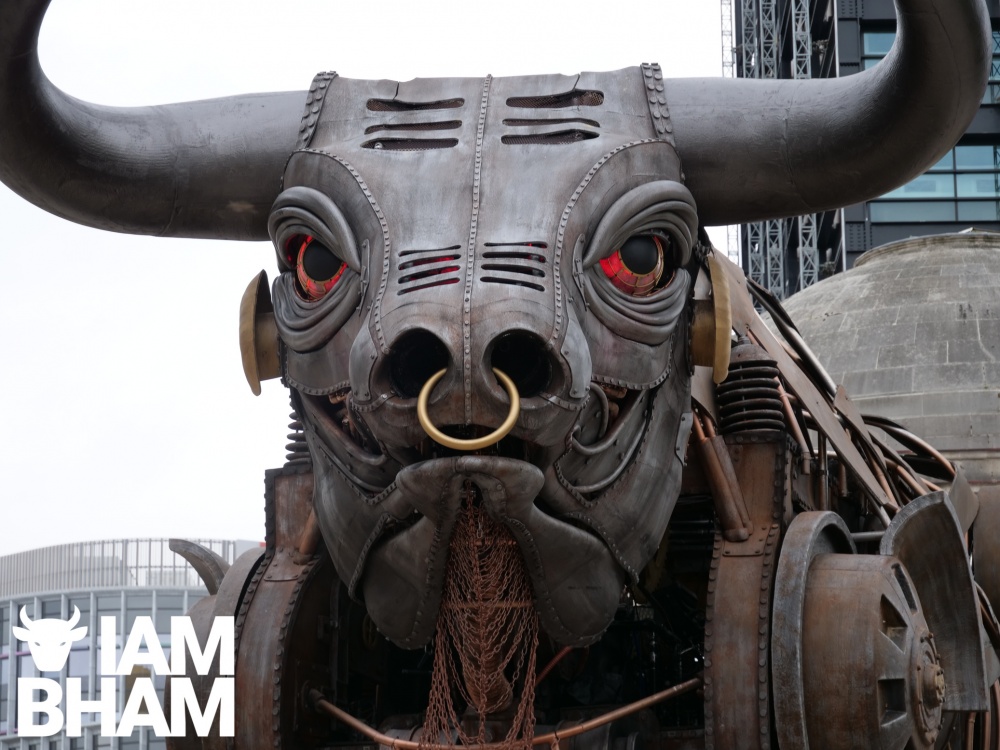 commonwealth games 2022 bull 0011