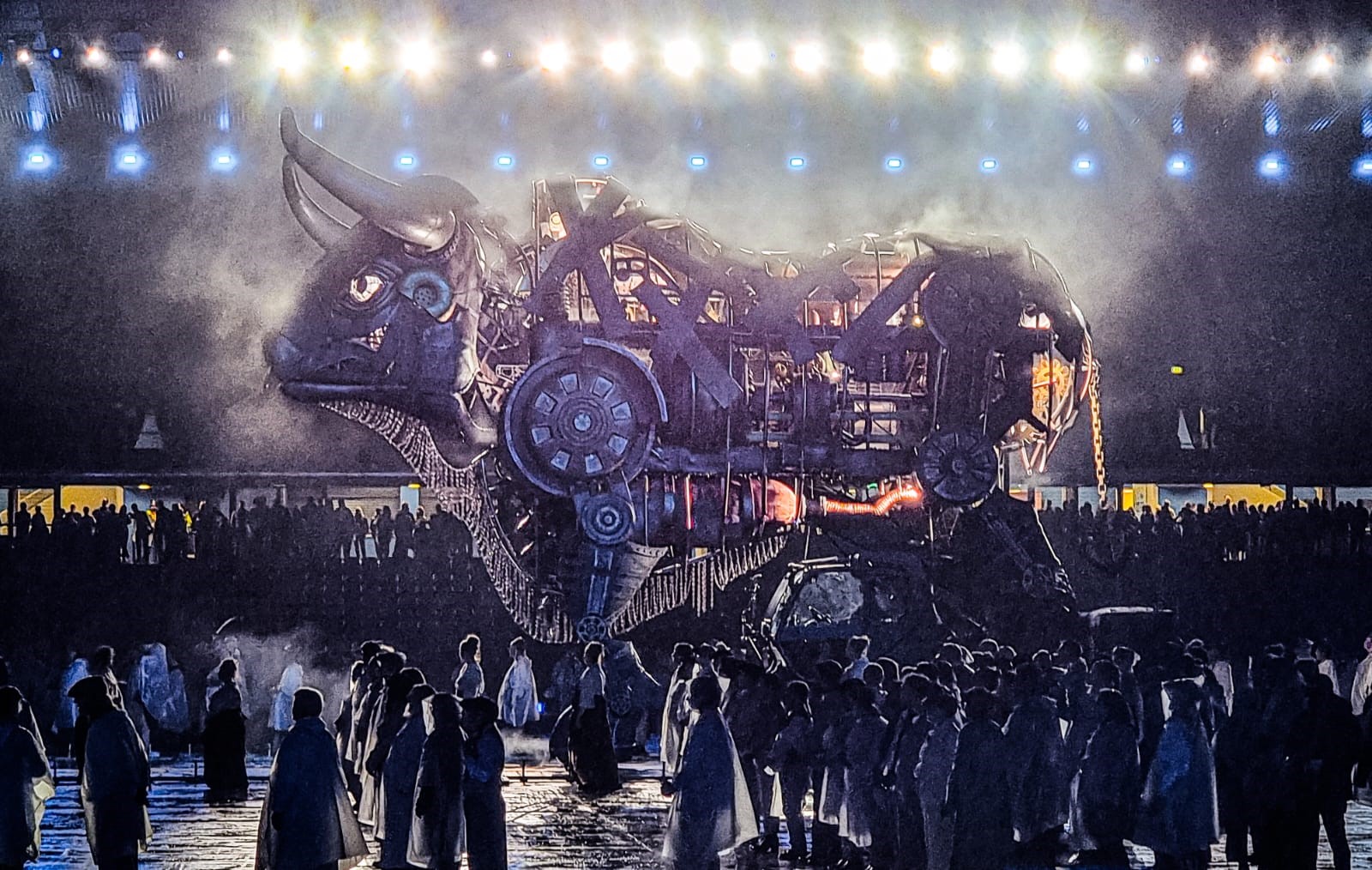 commonwealth games 2022 bull 0022