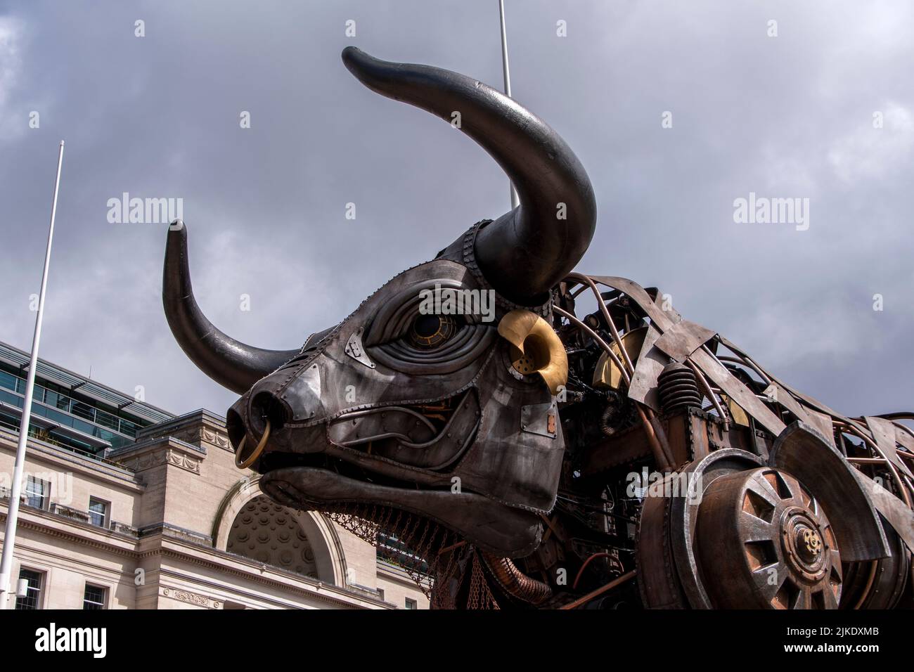 commonwealth games 2022 bull 0038