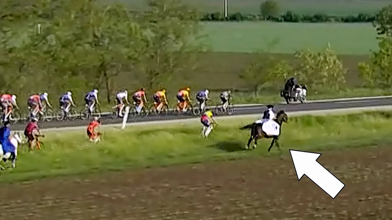 competitive riding techniques