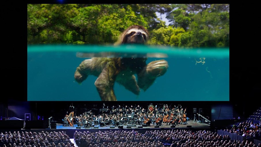 concert for the planet