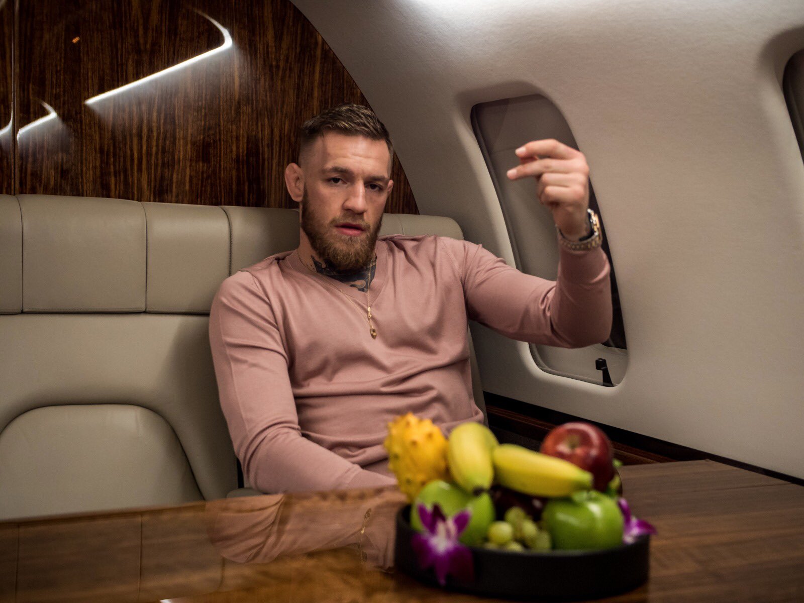 conor mcgregor 2017 0020