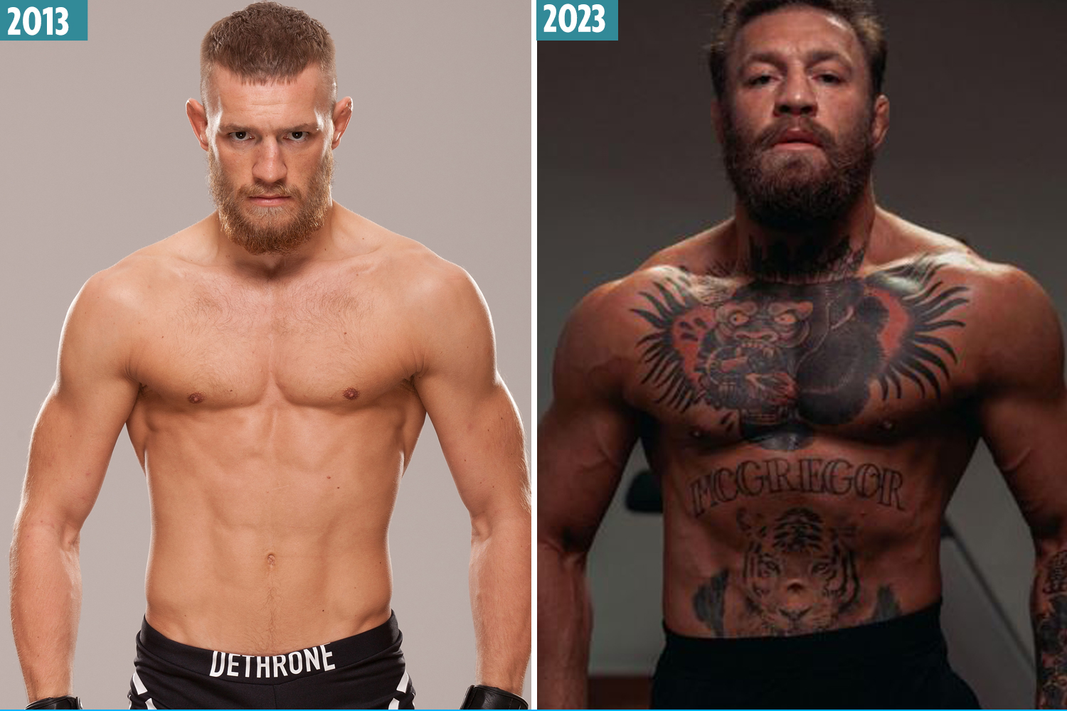 Conor McGregor 2023 images