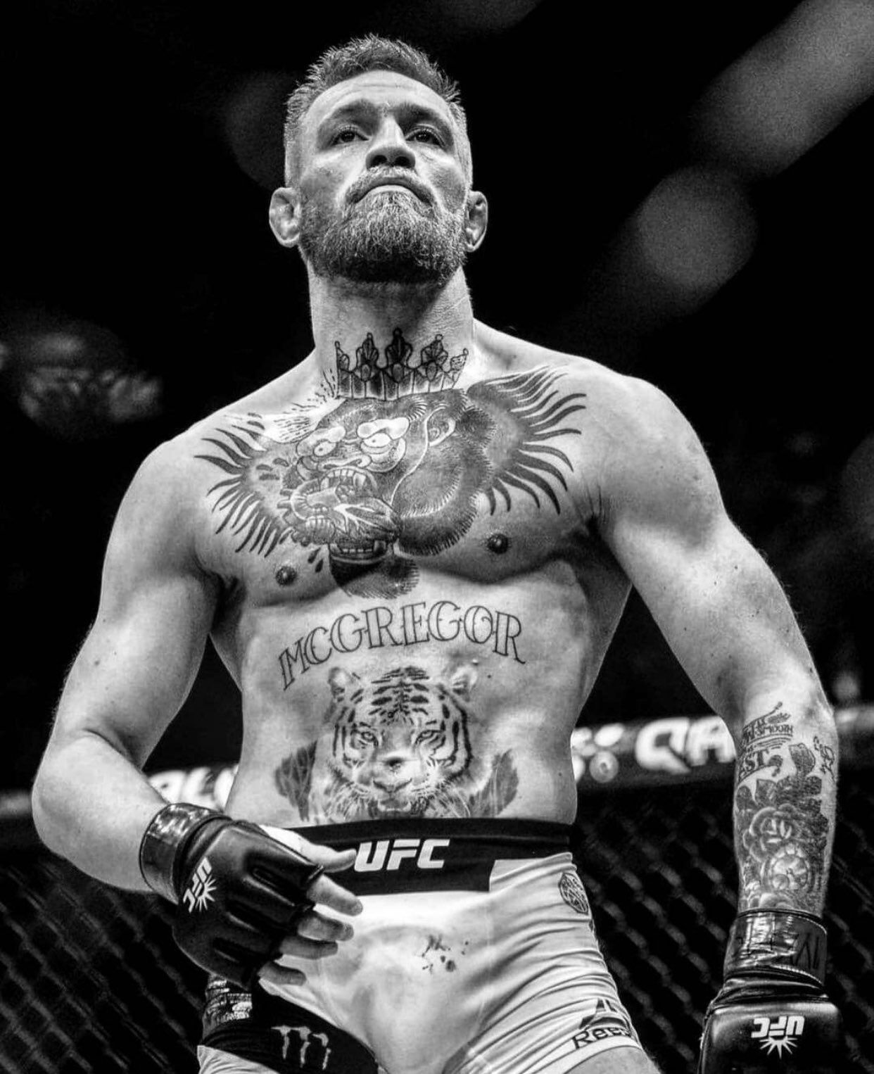 Conor McGregor art