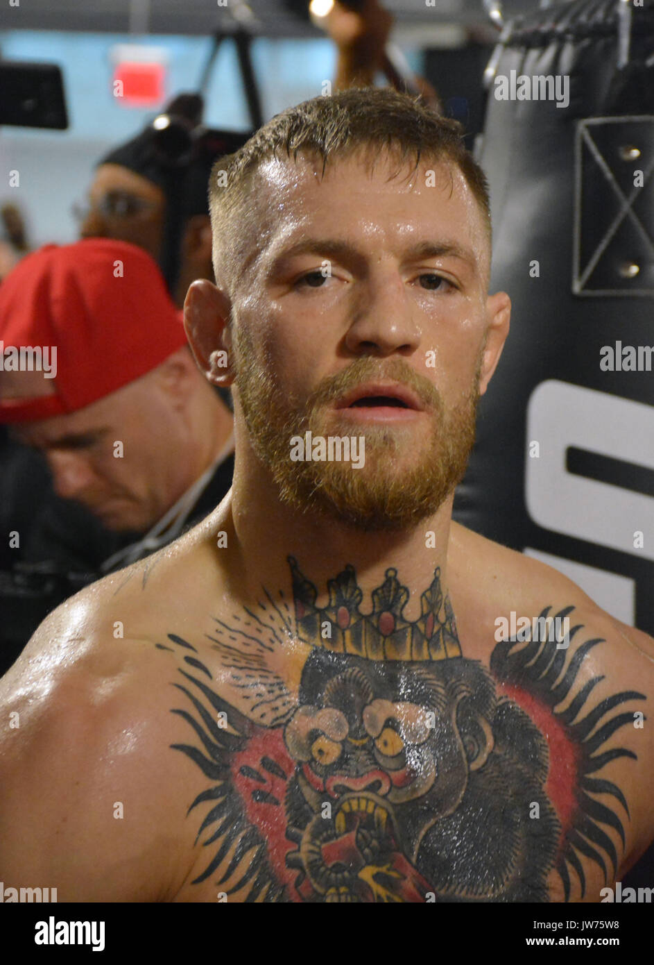 Conor McGregor notable quotes