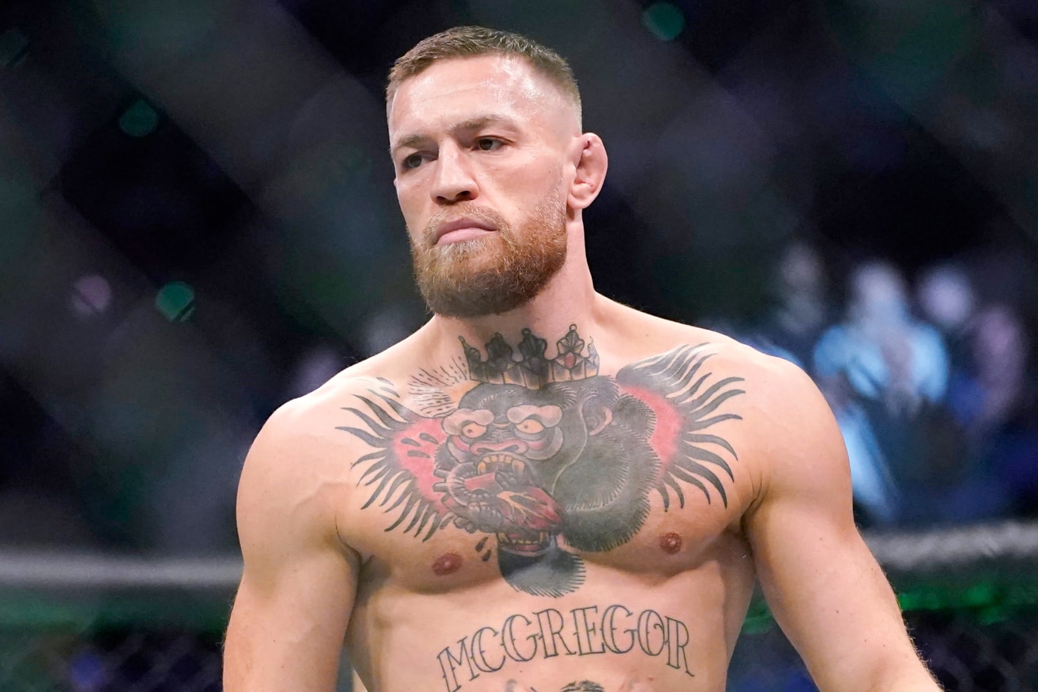 conor mcgregor photos