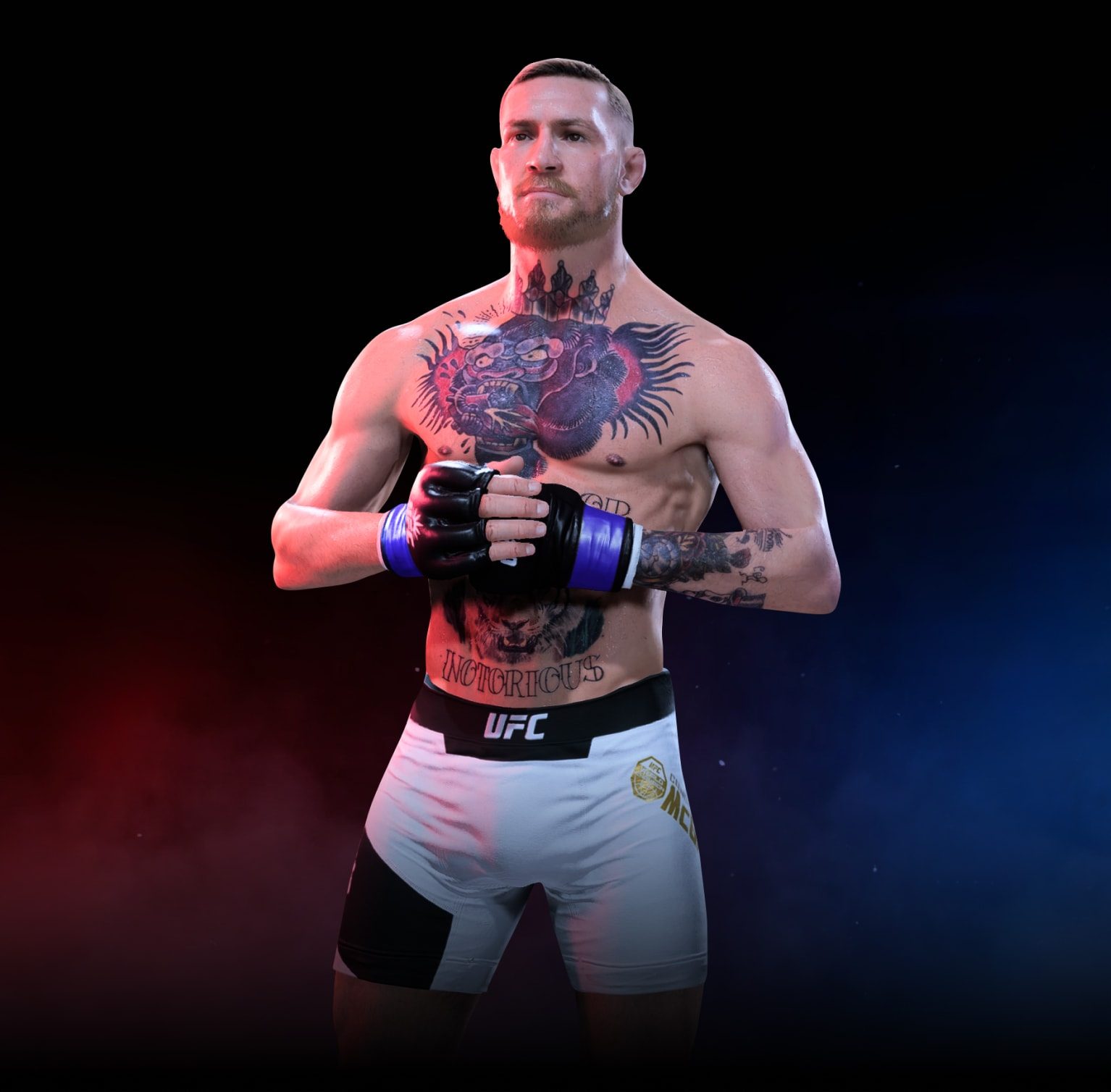 conor mcgregor picture