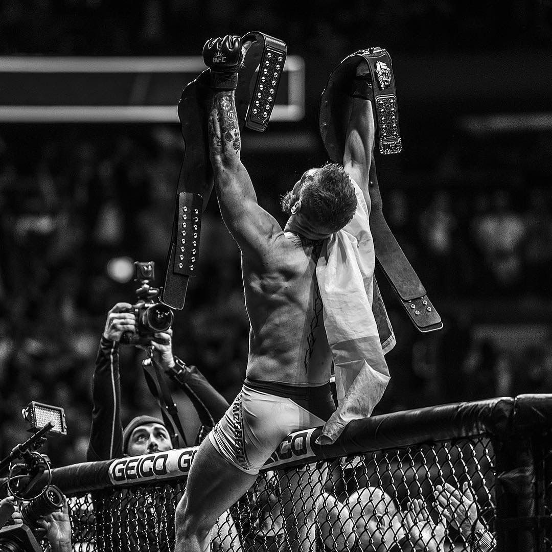 Conor McGregor portrait