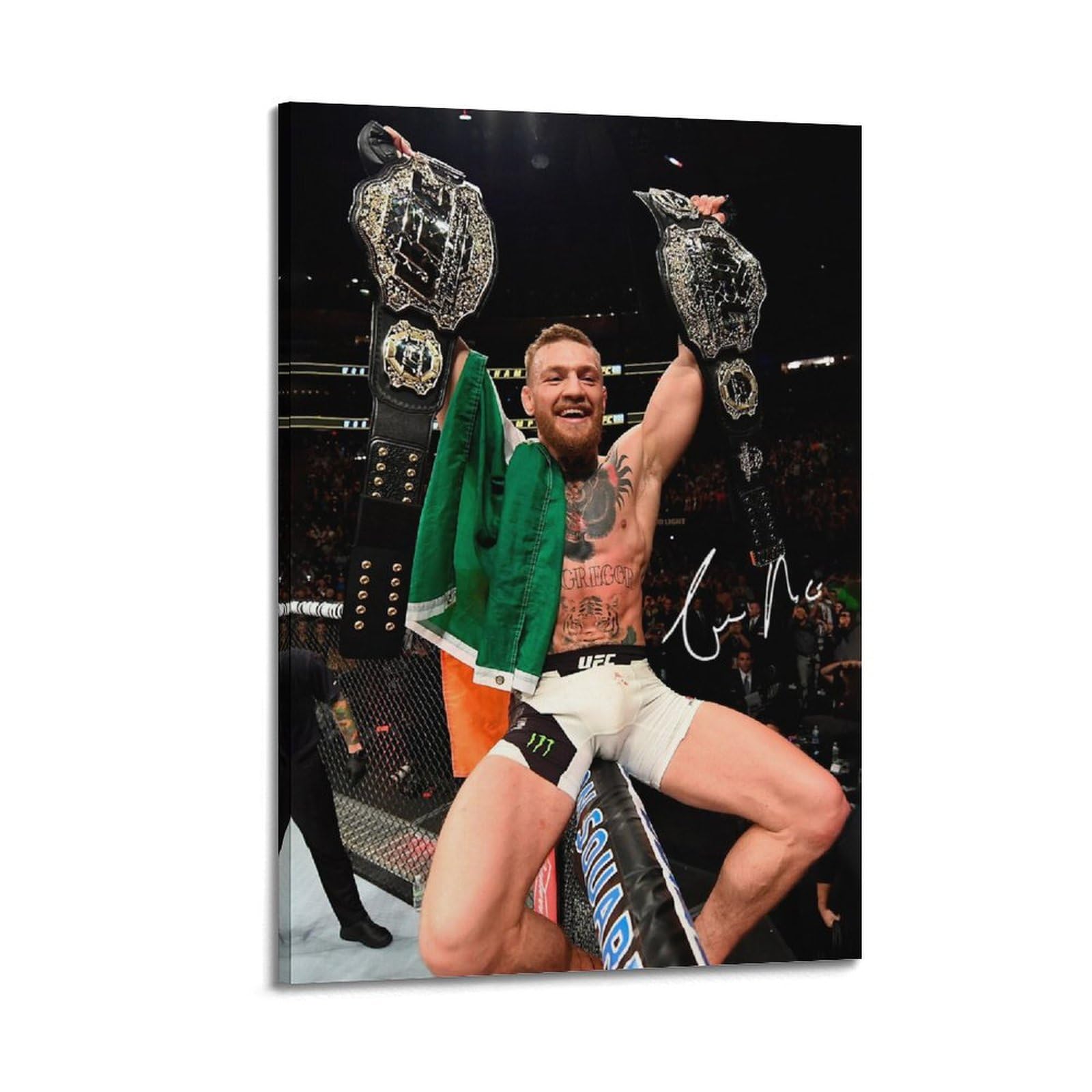 conor mcgregor signing posters 0026
