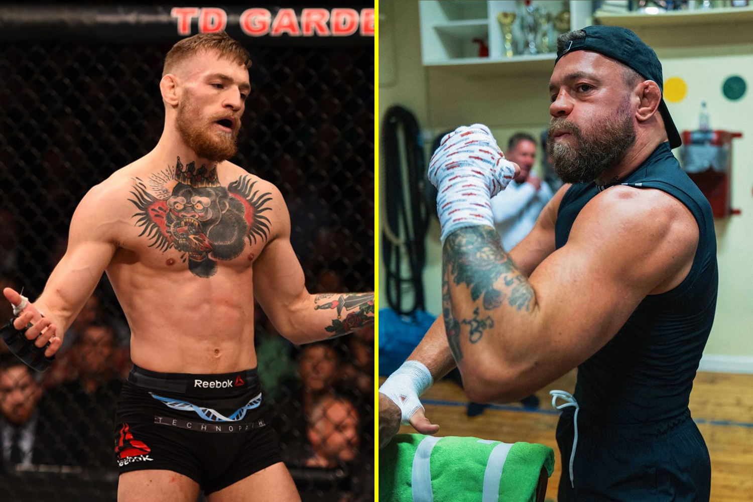 Conor McGregor training images