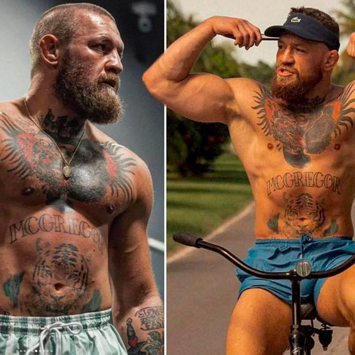 Conor McGregor UFC updates