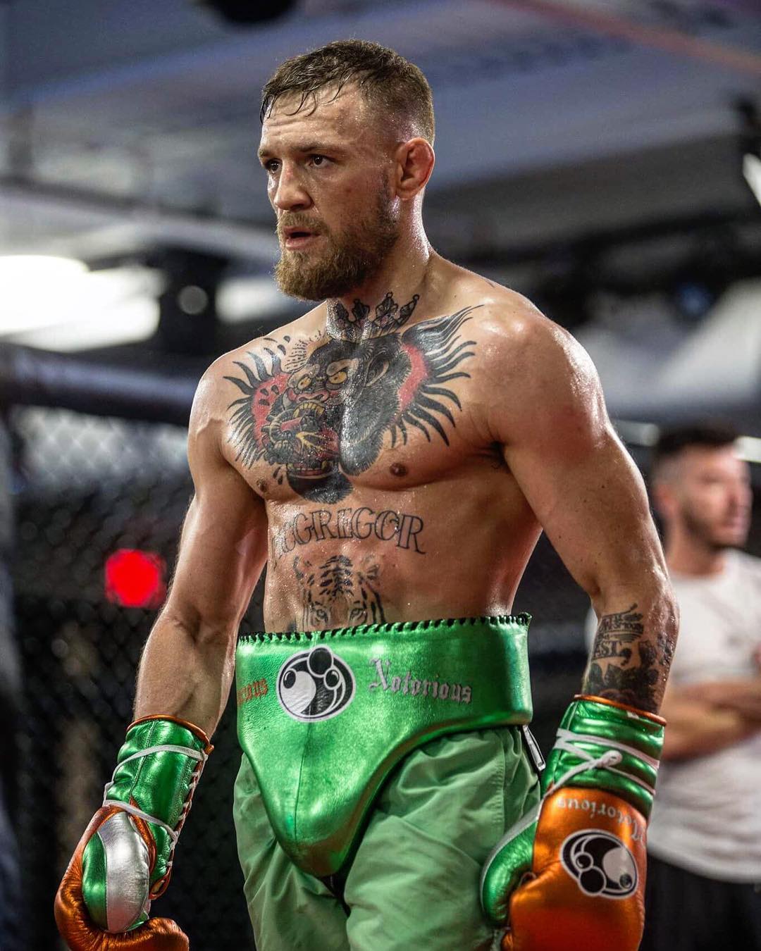 Conor McGregor victory moments