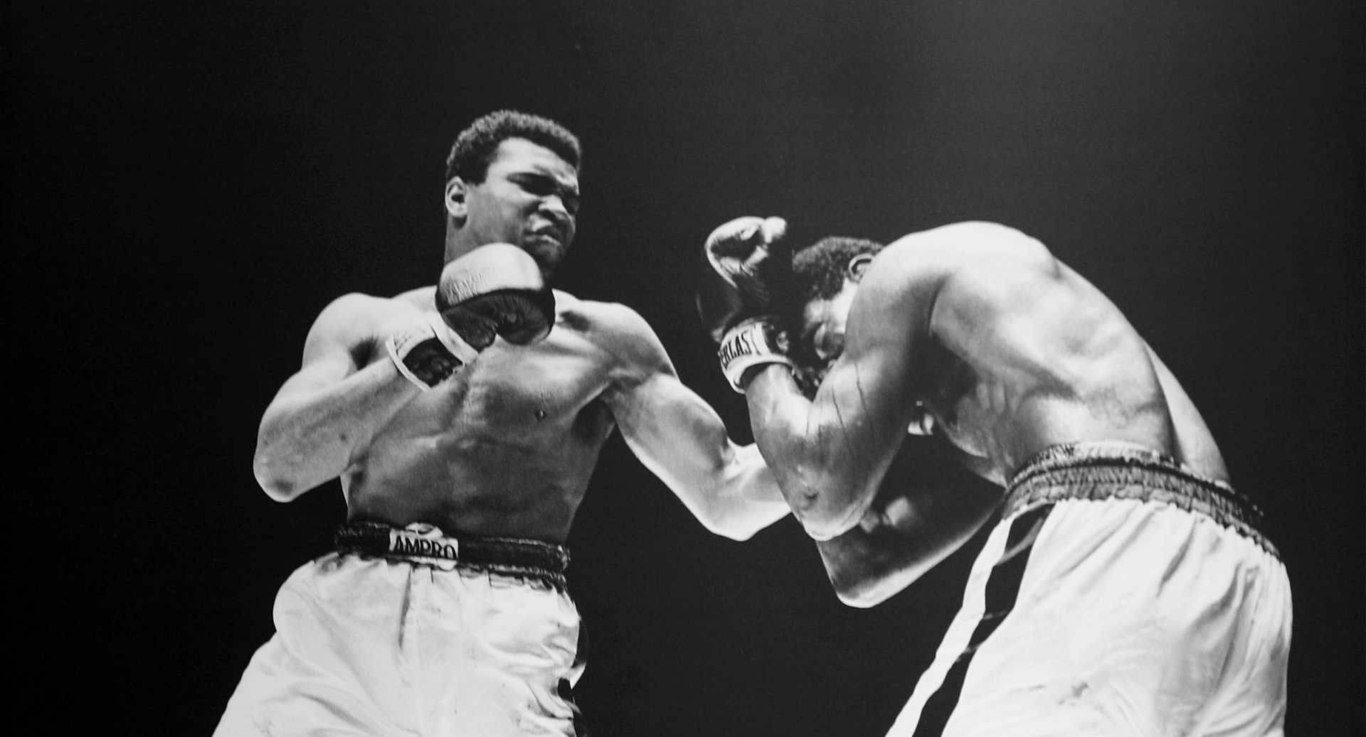 cool boxing photos 0018
