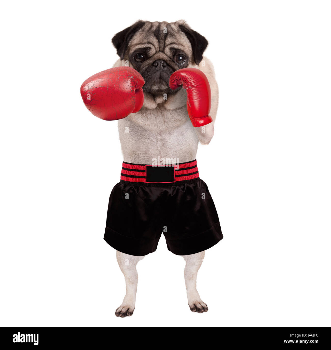 cool boxing photos 0020