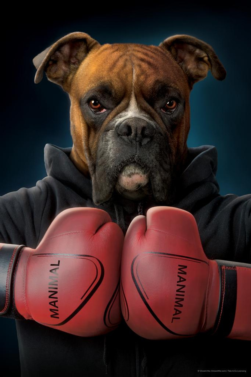 cool boxing photos 0040