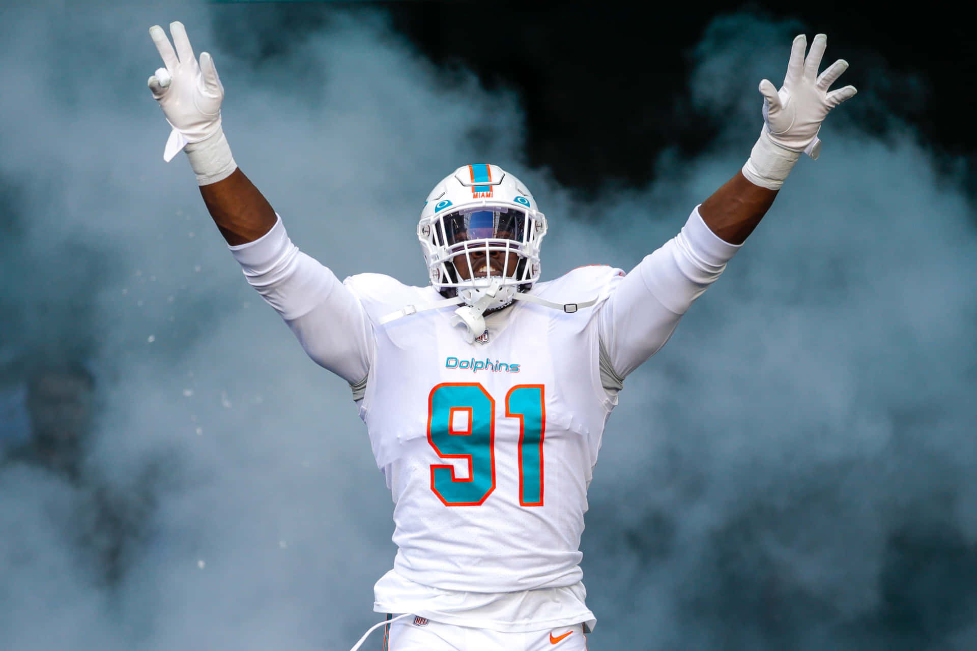 cool miami dolphins pictures 0010
