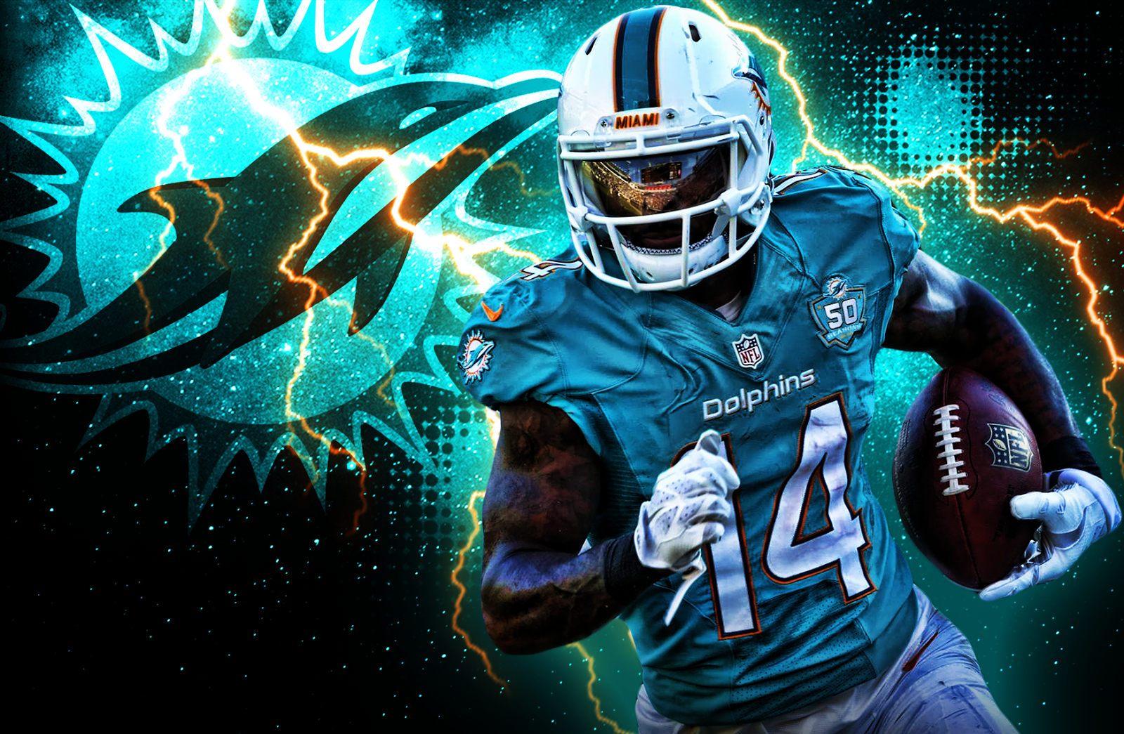 cool miami dolphins pictures 0016