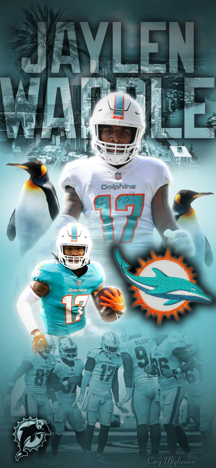 cool miami dolphins pictures 0018